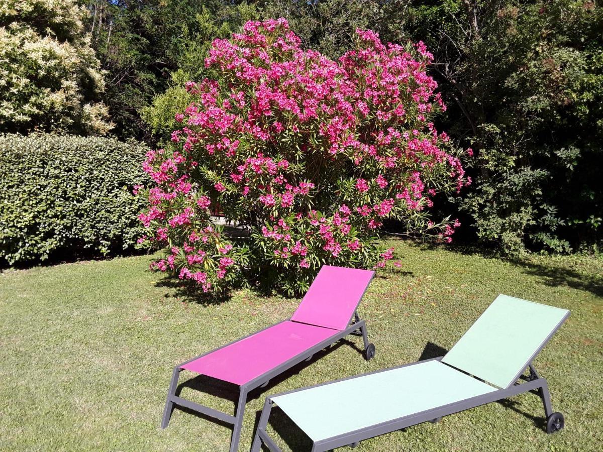 Le Mas Du Chat Bed & Breakfast Cavaillon Exterior photo
